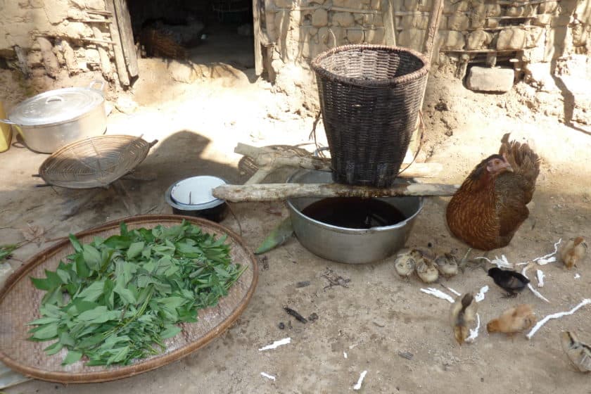 Extraire le passé du présent, 2010, photo par Birgit Ricquier